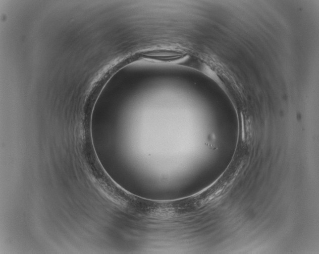 X0000067520252200604071328