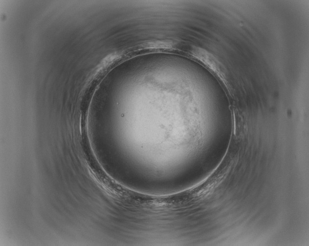 X0000067520253200604071328