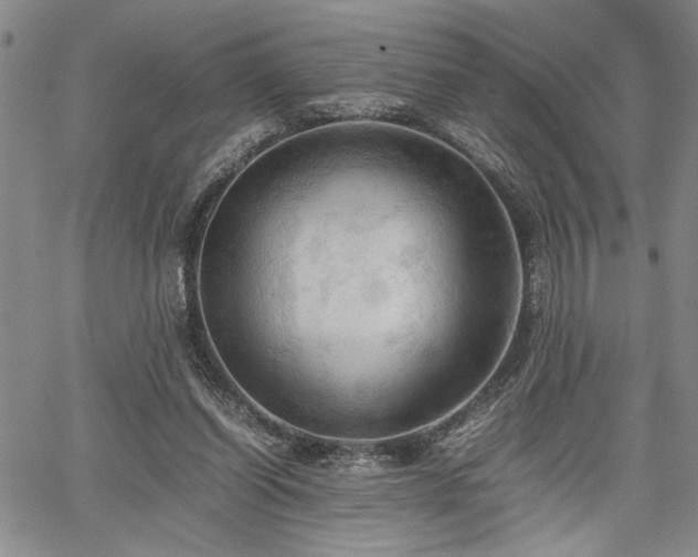 X0000067520254200604071328