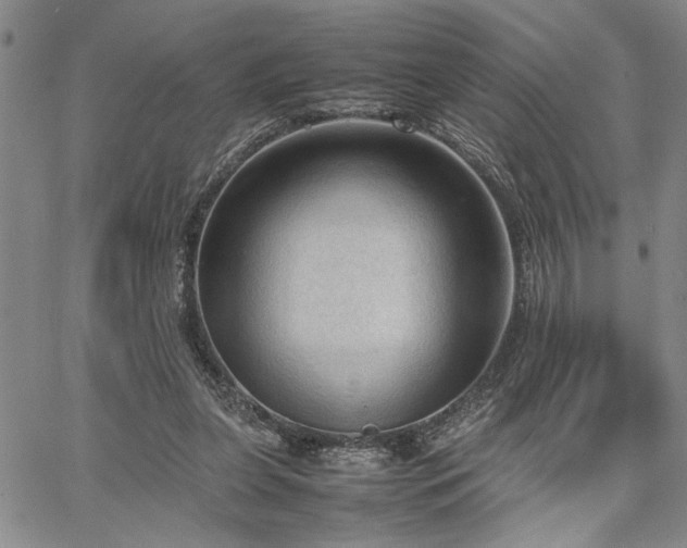 X0000067520255200604071328