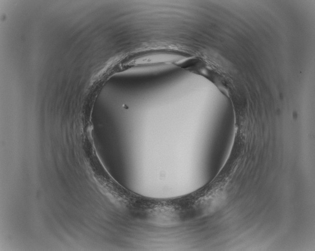 X0000067520256200604071328