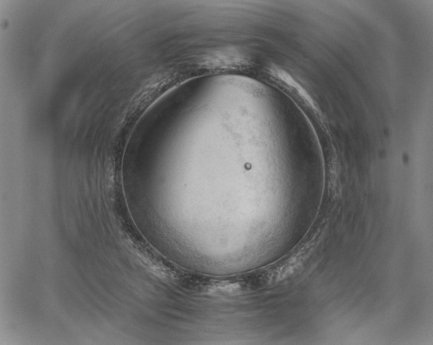 X0000067520257200604071328