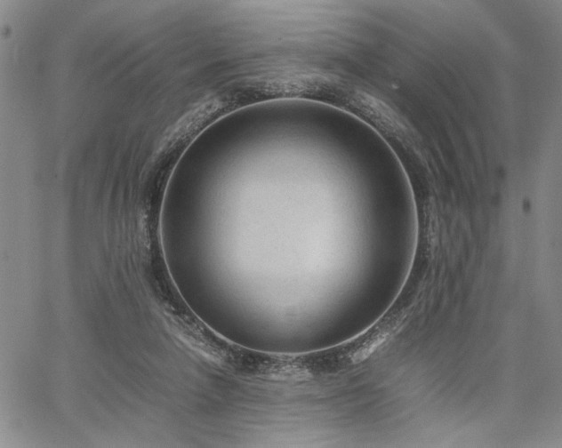 X0000067520258200604071328