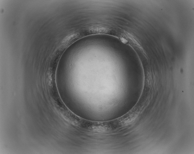 X0000067520259200604071329