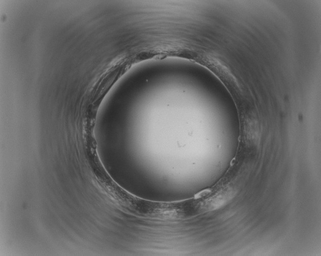 X0000067520260200604071329