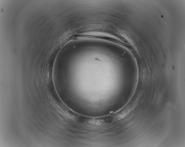 X0000067520261200604071329