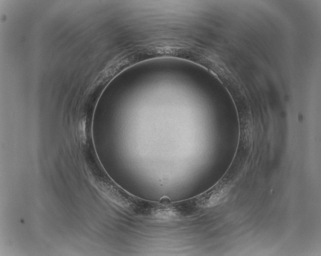 X0000067520262200604071329