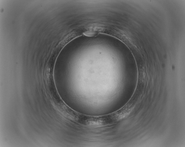 X0000067520263200604071329