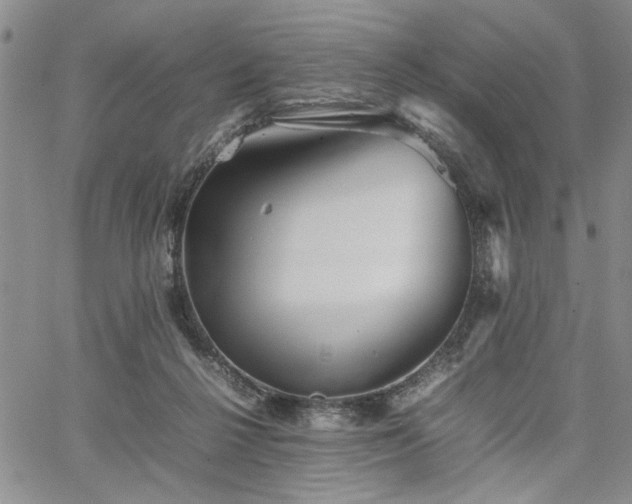 X0000067520264200604071329