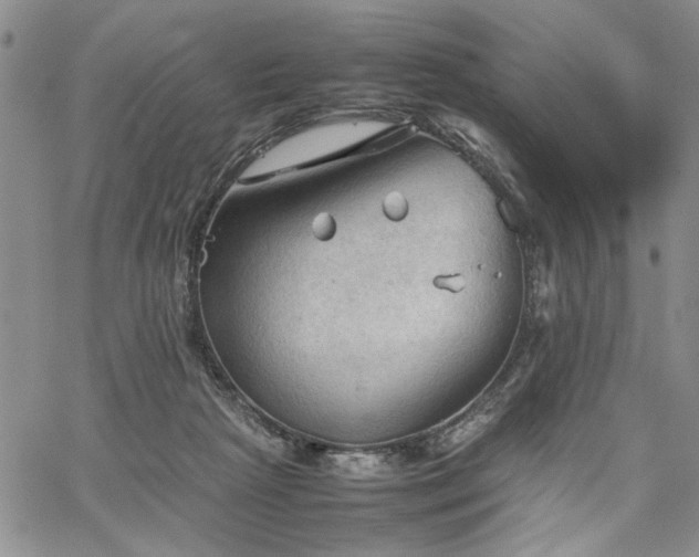 X0000067520265200604071329