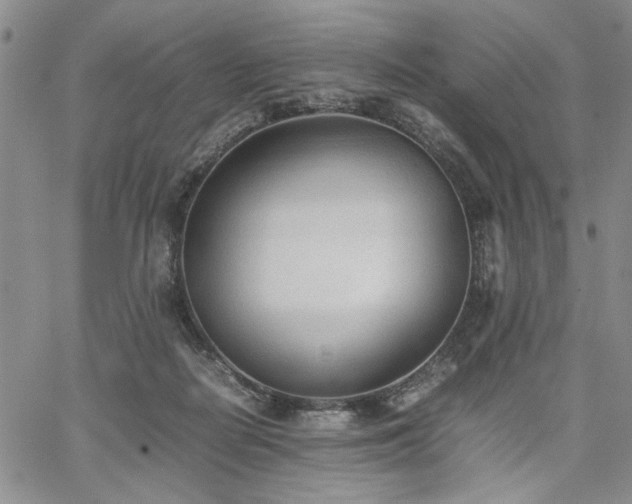 X0000067520266200604071329