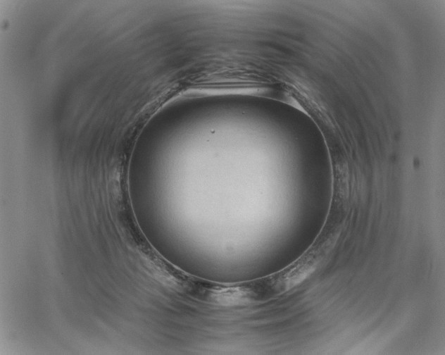 X0000067520269200604071329