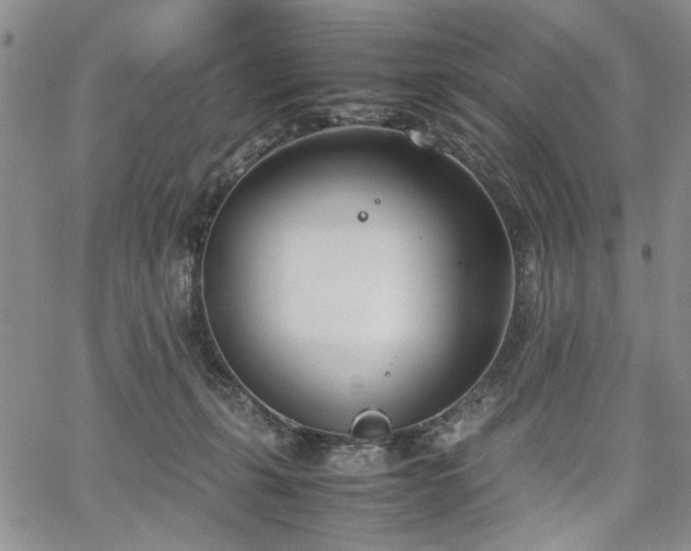 X0000067520271200604071329