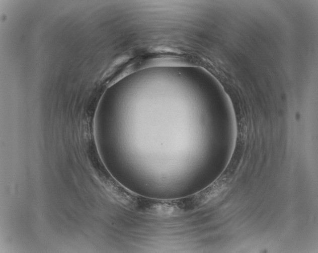 X0000067520272200604071329