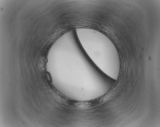 X0000067520273200604071329