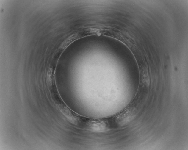 X0000067520275200604071329