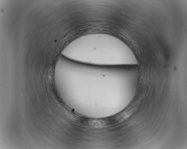 X0000067520277200604071329