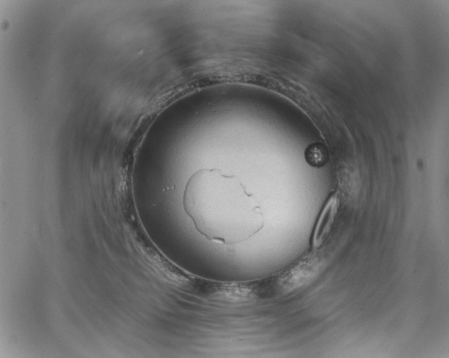 X0000067520278200604071329