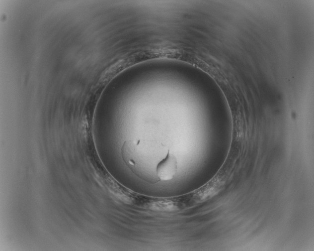 X0000067520279200604071329