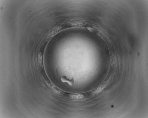 X0000067520281200604071329