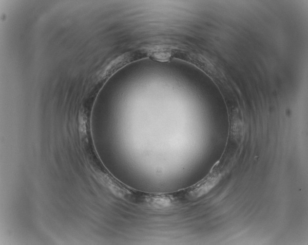 X0000067520282200604071329