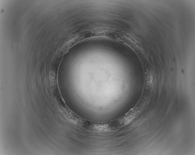 X0000067520283200604071329