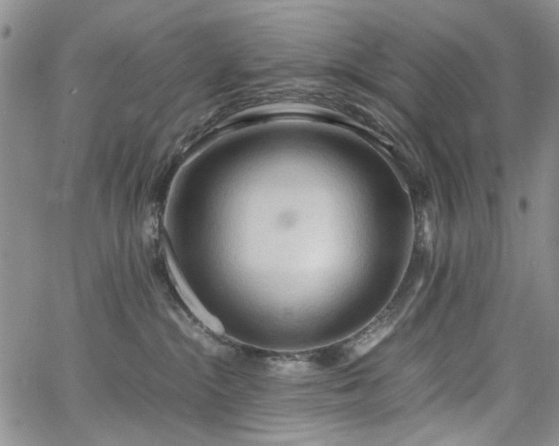 X0000067520284200604071329