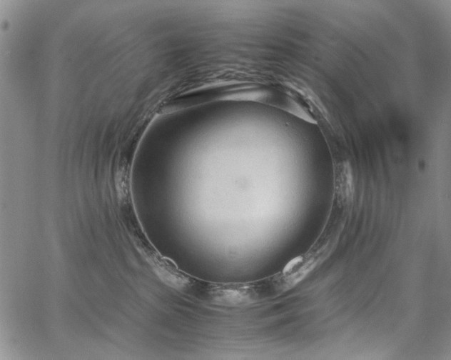 X0000067520285200604071329