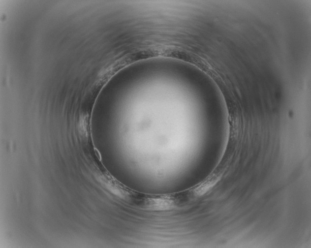 X0000067520286200604071329