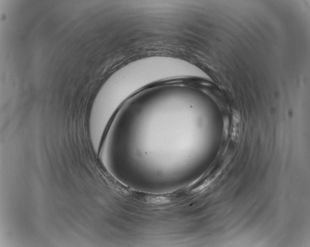 X0000067520287200604071329