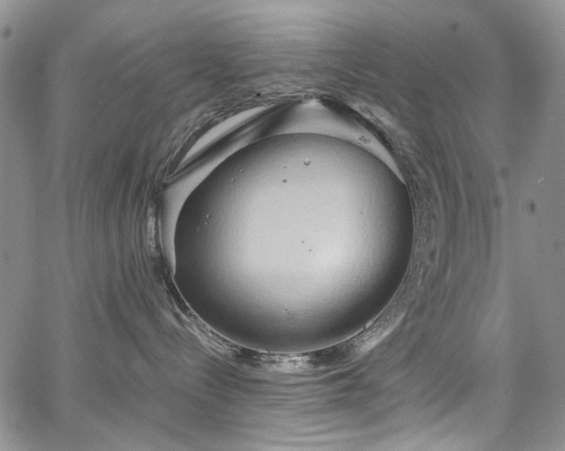 X0000067520288200604071329