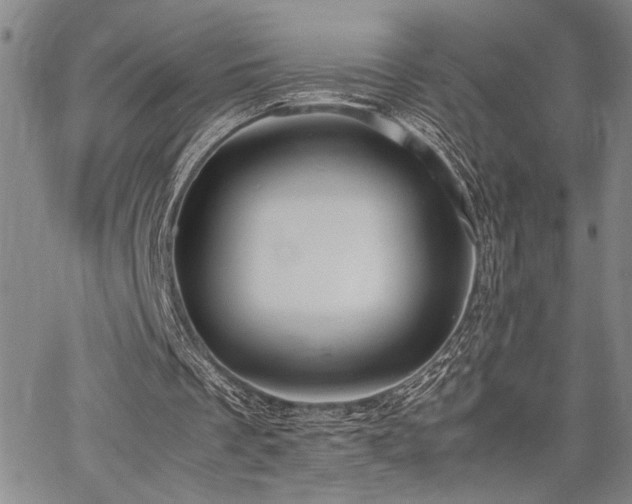 X0000067520289200604071328