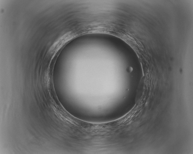 X0000067520290200604071328