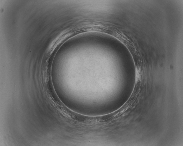 X0000067520291200604071328