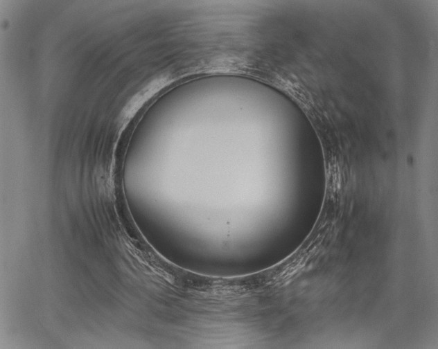 X0000067520292200604071328