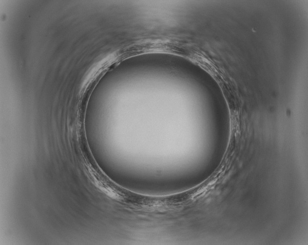 X0000067520293200604071328