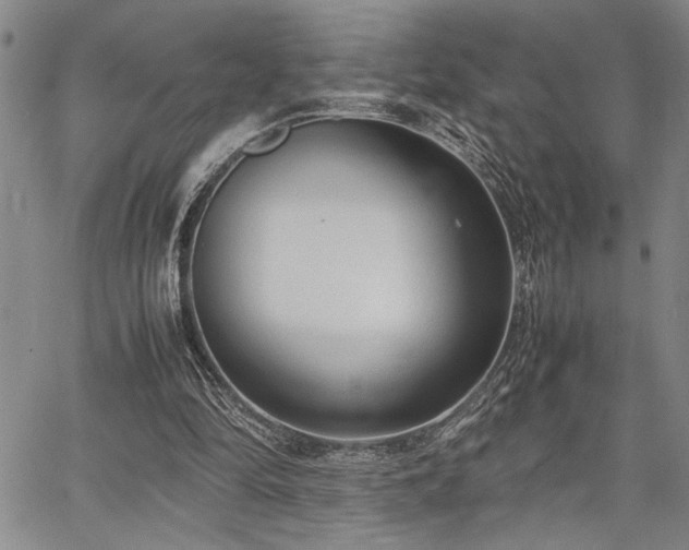 X0000067520294200604071328