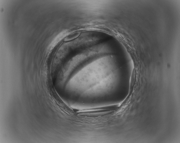 X0000067520295200604071328