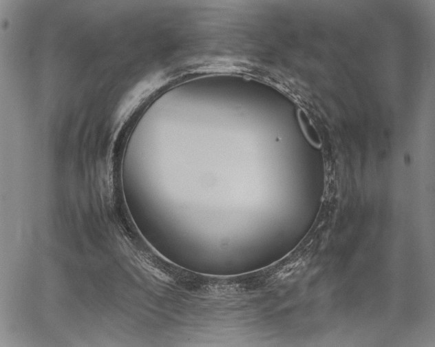 X0000067520296200604071328