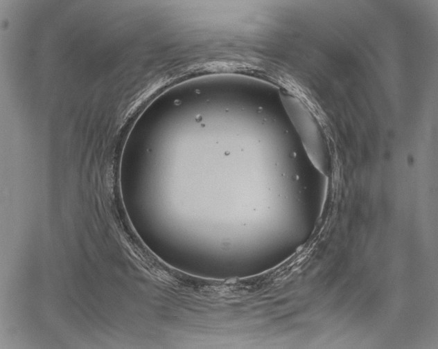 X0000067520297200604071328