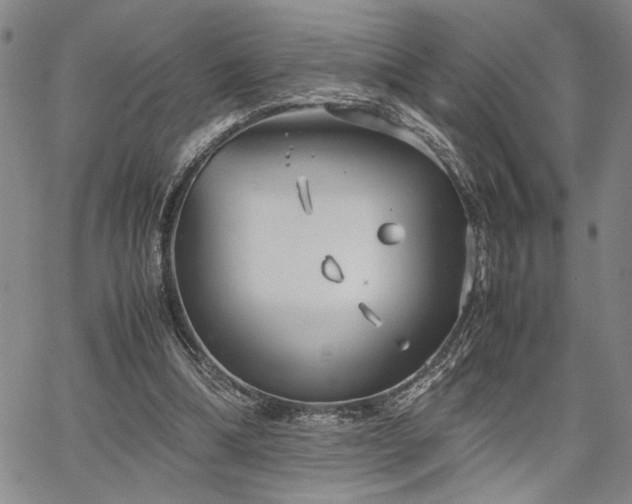 X0000067520298200604071328