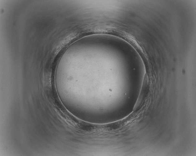 X0000067520299200604071328