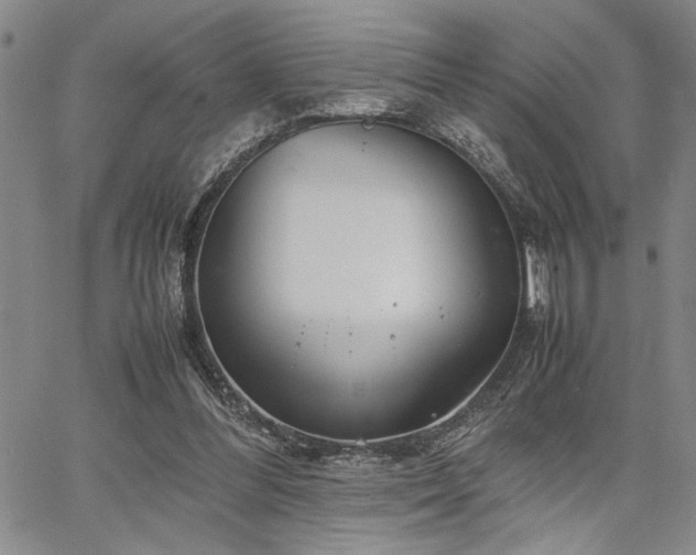 X0000067520300200604071328