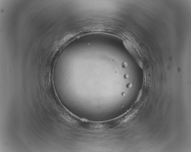 X0000067520301200604071328