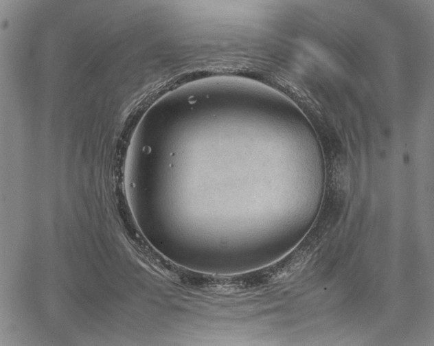 X0000067520303200604071328