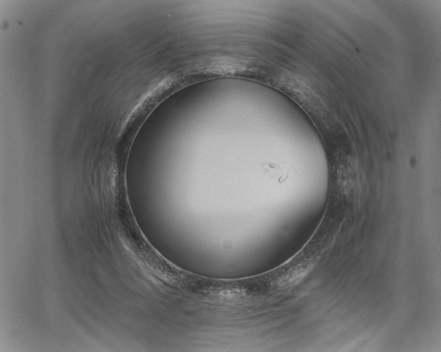 X0000067520304200604071328