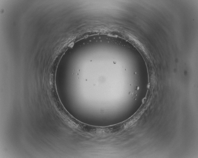 X0000067520305200604071328