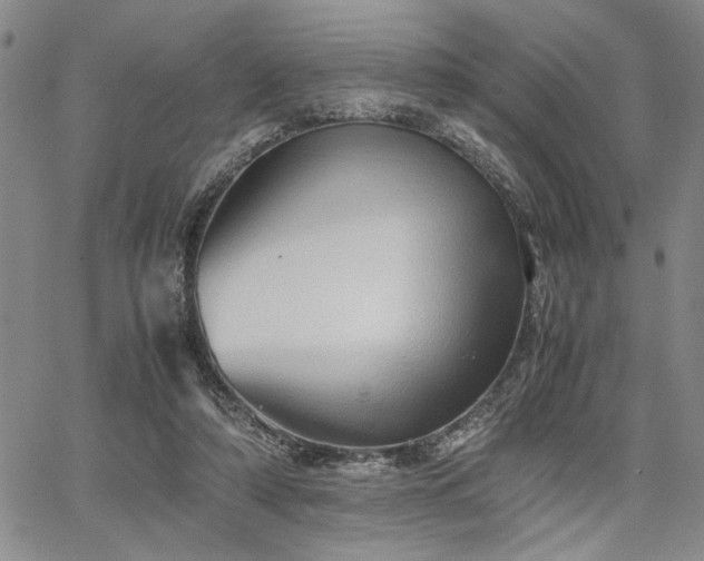 X0000067520306200604071328