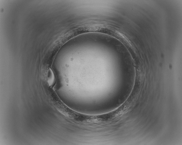 X0000067520307200604071328