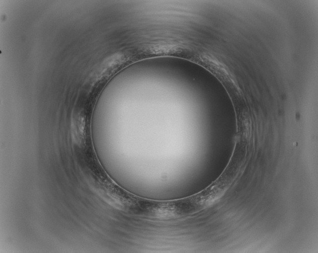 X0000067520308200604071328